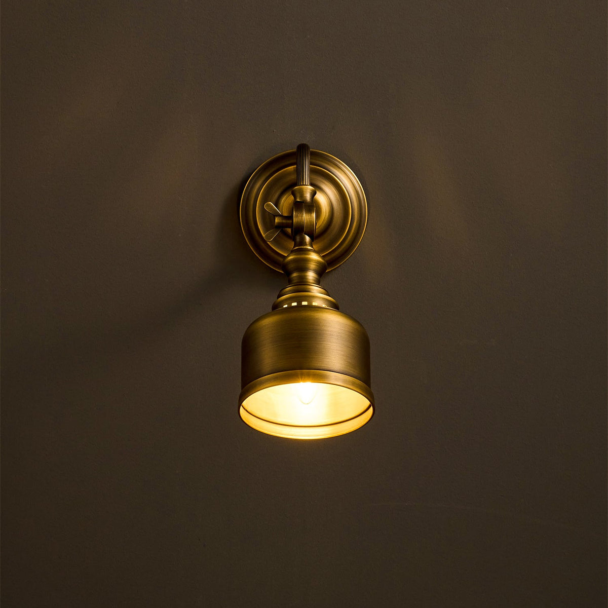 Addison Gooseneck Wall Lamp