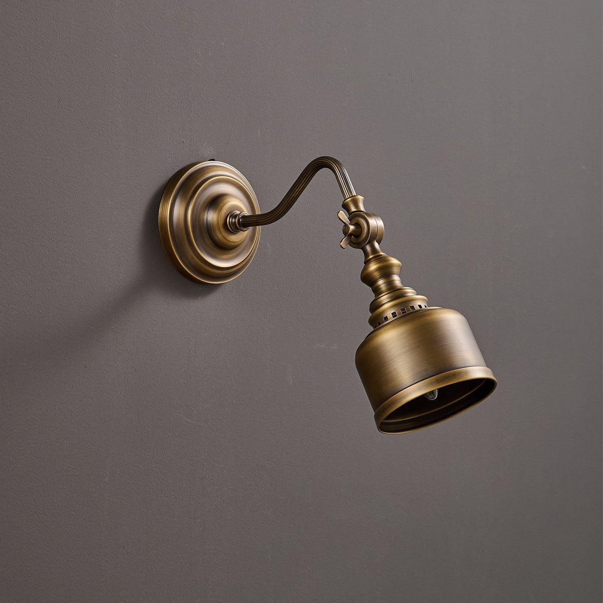 Addison Gooseneck Wall Lamp