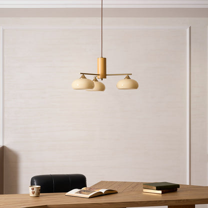 Nova Elliptical Persimmon Chandelier