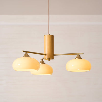Nova Elliptical Persimmon Chandelier