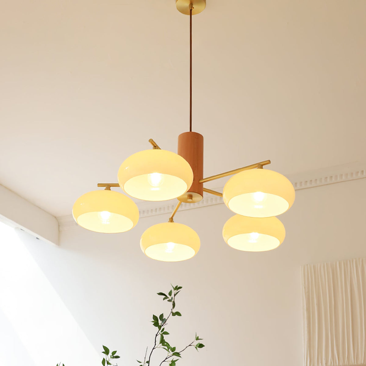 Nova Elliptical Persimmon Chandelier