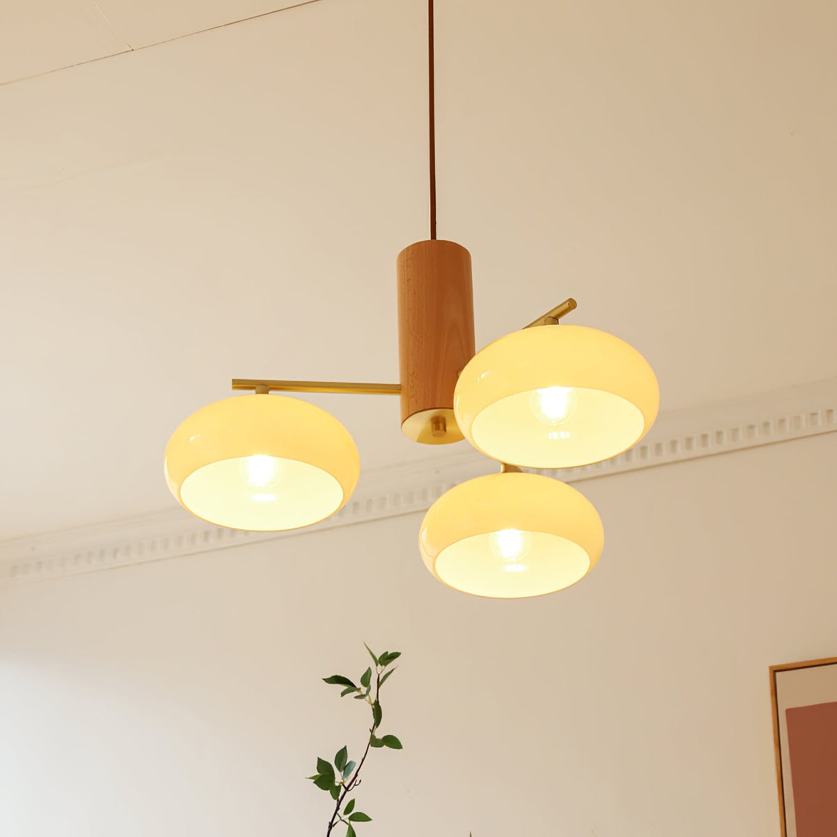 Nova Elliptical Persimmon Chandelier