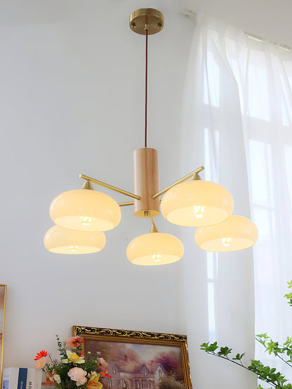 Nova Elliptical Persimmon Chandelier