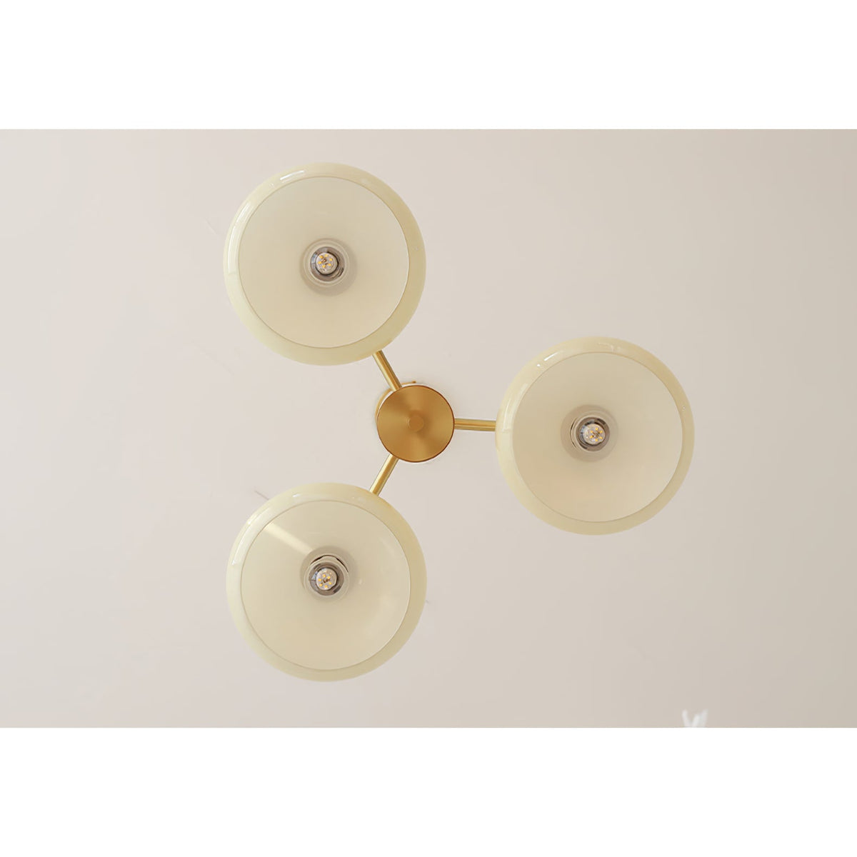 Nova Elliptical Persimmon Chandelier