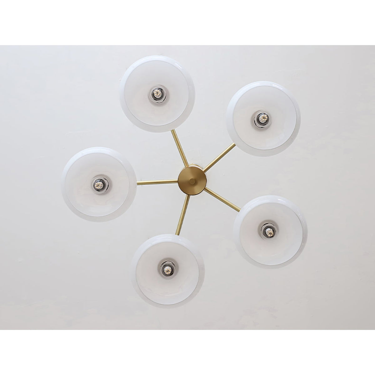 Nova Elliptical Persimmon Chandelier