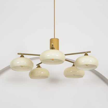 Nova Elliptical Persimmon Chandelier
