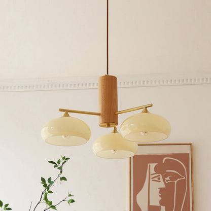 Nova Elliptical Persimmon Chandelier
