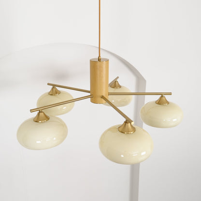 Nova Elliptical Persimmon Chandelier