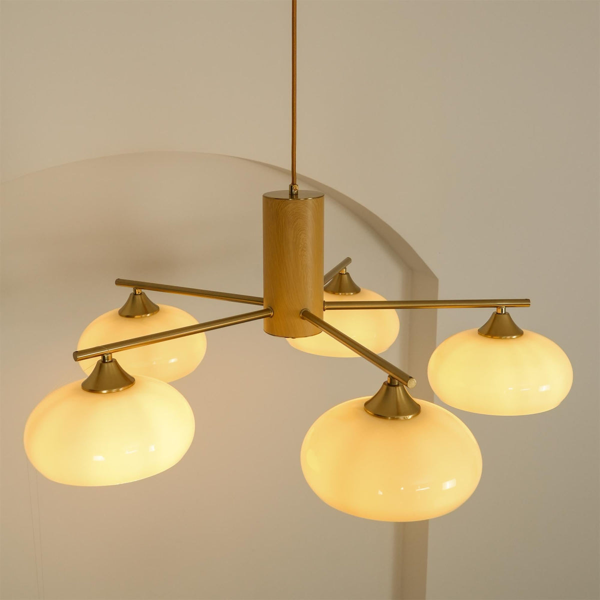 Nova Elliptical Persimmon Chandelier