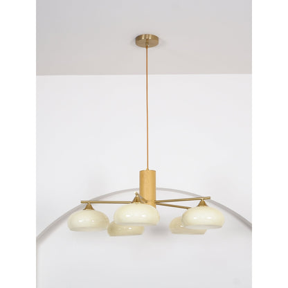 Nova Elliptical Persimmon Chandelier
