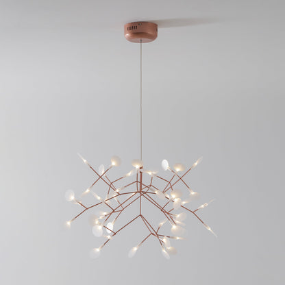 Heracleum Chandelier