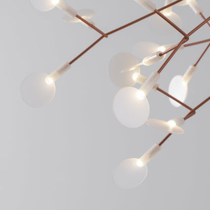 Heracleum Chandelier
