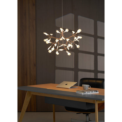 Heracleum Chandelier