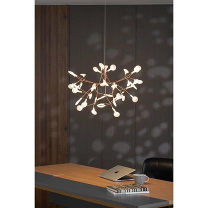 Heracleum Chandelier