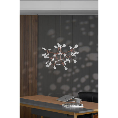 Heracleum Chandelier