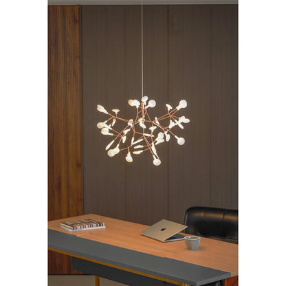 Heracleum Chandelier
