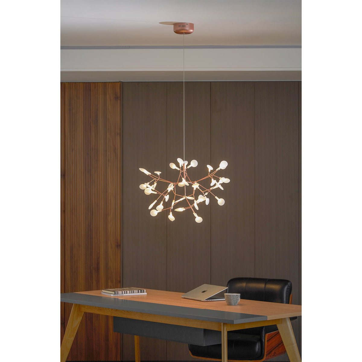 Heracleum Chandelier