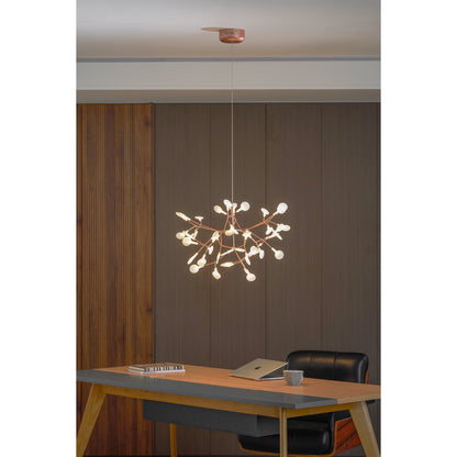 Heracleum Chandelier