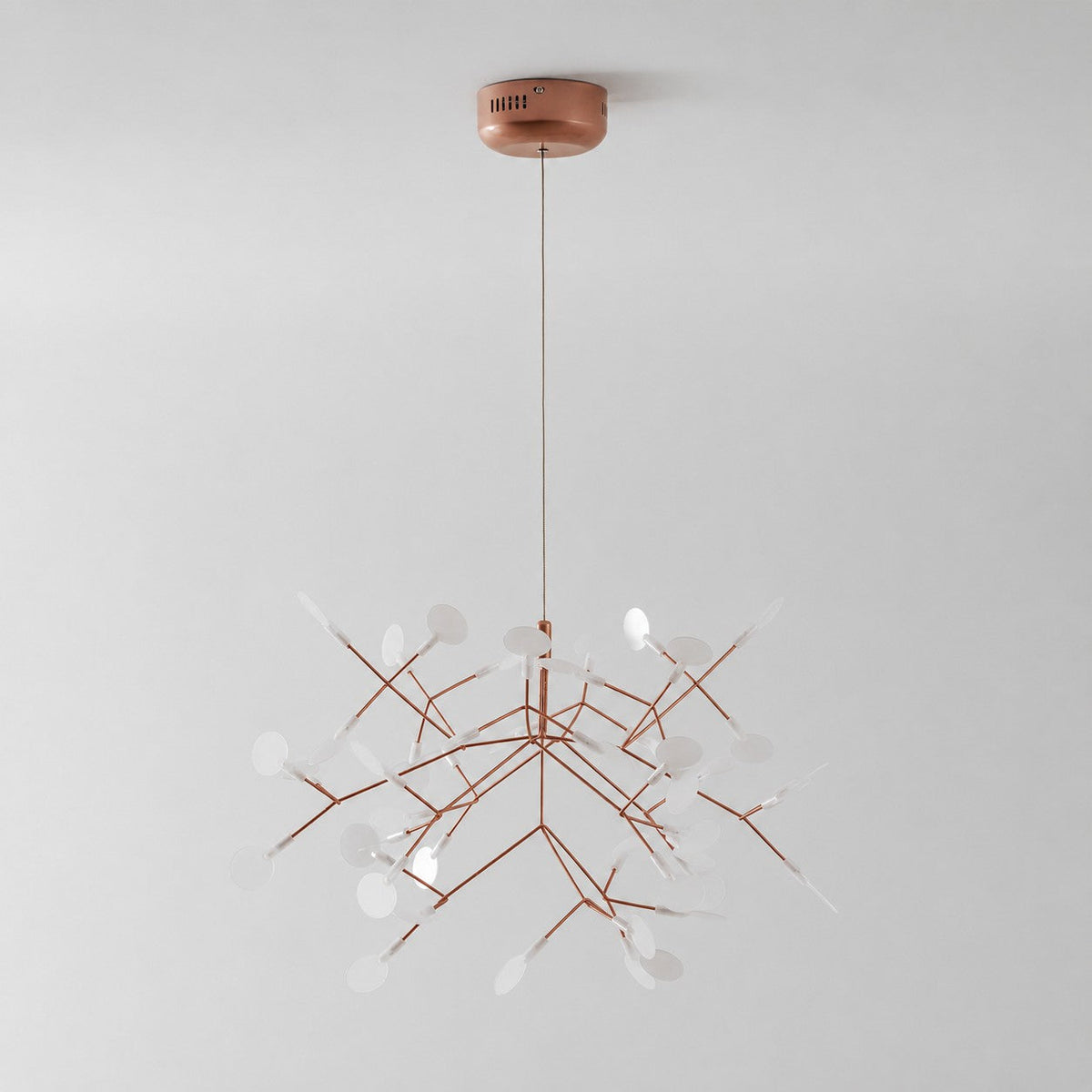 Heracleum Chandelier