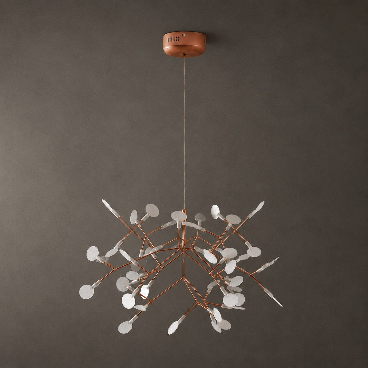 Heracleum Chandelier