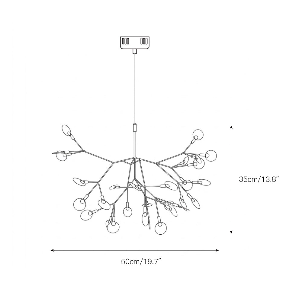 Heracleum Chandelier