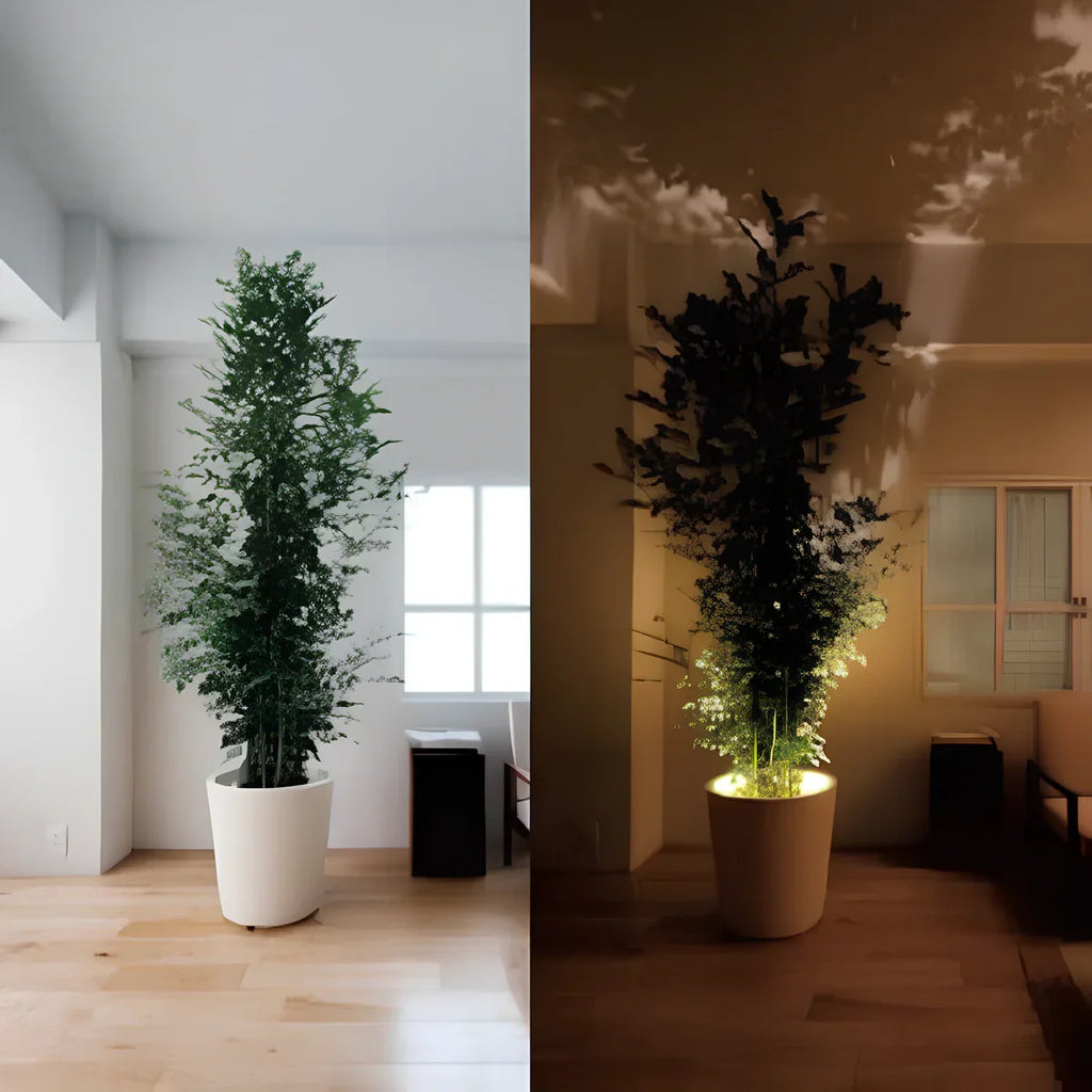 Versatile easy-to-install wall spotlight with remote control
