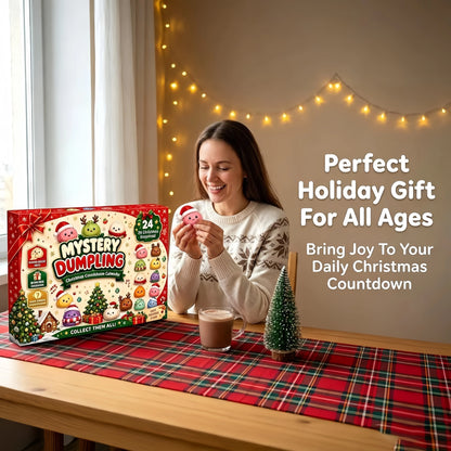 Squishy Advent Calendar – 24 Days of Slow-Rising Dumpling Squishies, Christmas Fidget Toys
