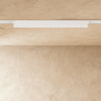 Dawn Track Light System