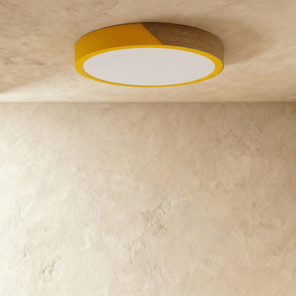 Delphi Ceiling Light