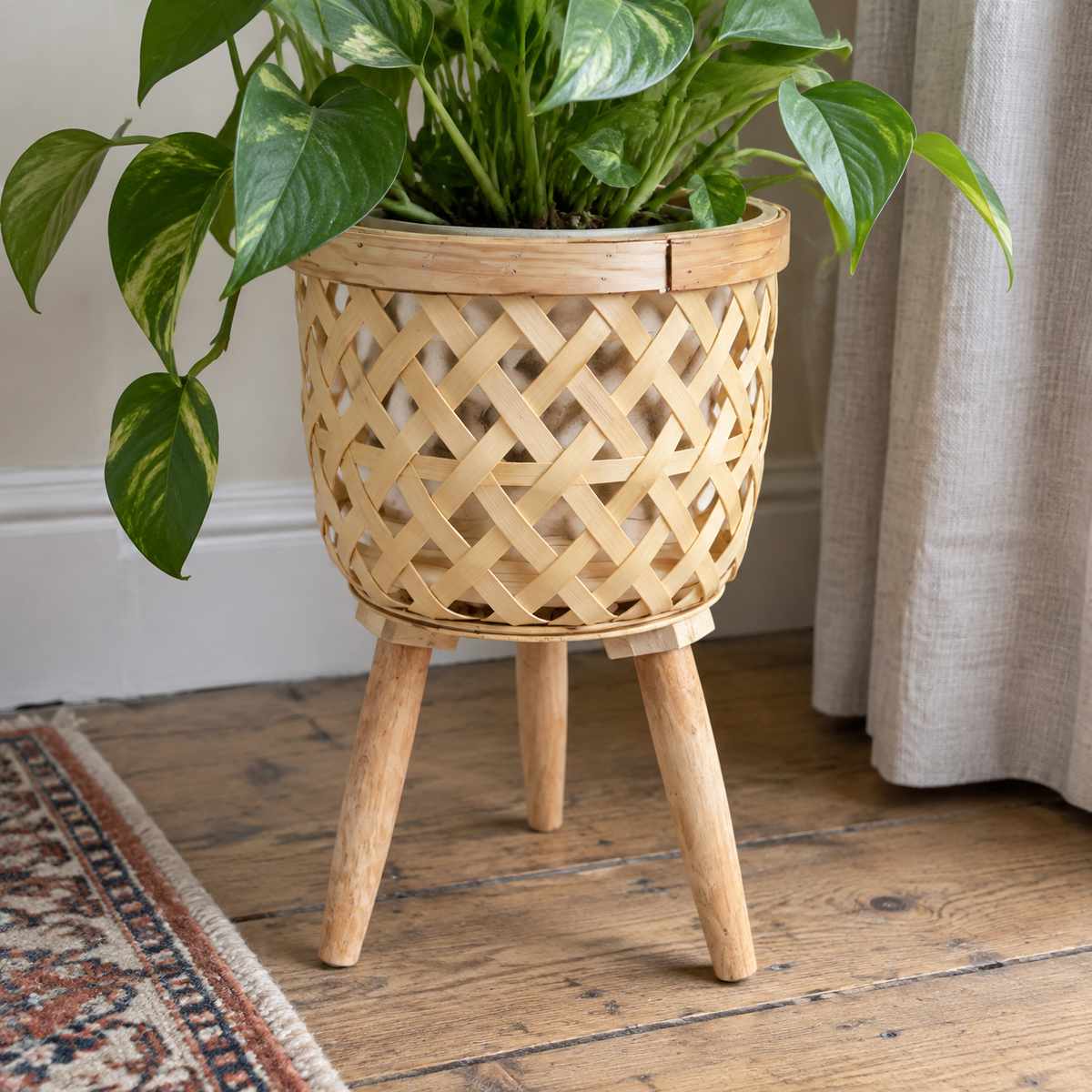 Elevated plant stand holding a potted houseplant on worn floorboards