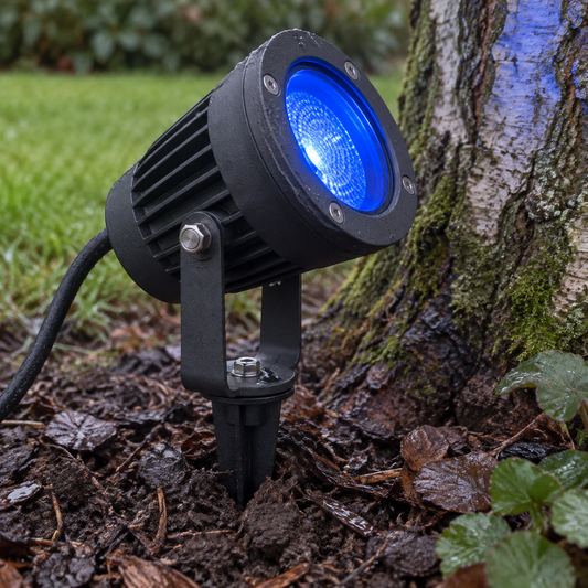 RGB colour changing garden spotlight on a ground spike in wet soil, lens angled up a birch trunk and glowing blue