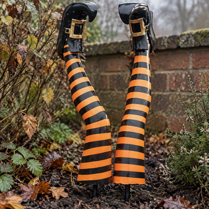 Striped witch leg Halloween stakes pushed upright into a damp garden border beside a low brick wall