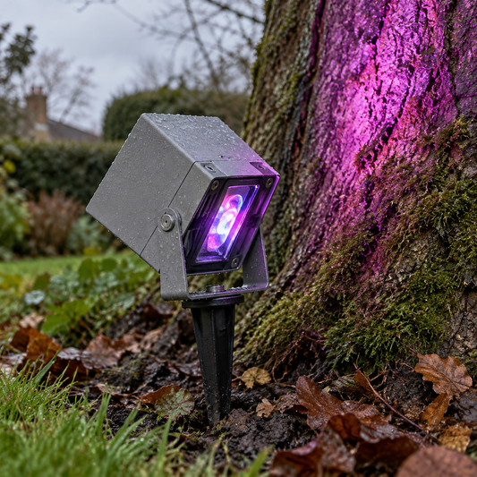 Colour changing RGB tree uplighter spiked into damp soil at the foot of a garden tree, beam angled up the trunk
