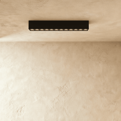 Janae Track Light System