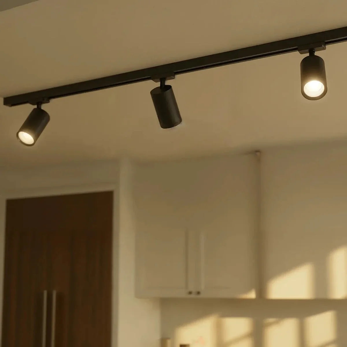 Janae Track Light System