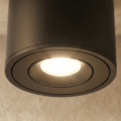 Jannis Downlight