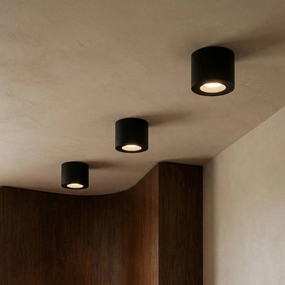 Jannis Downlight