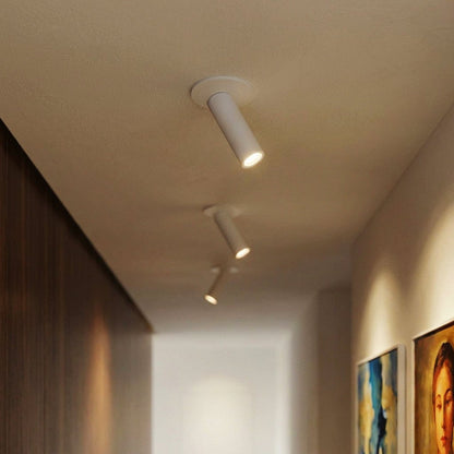 Photine Ceiling Light